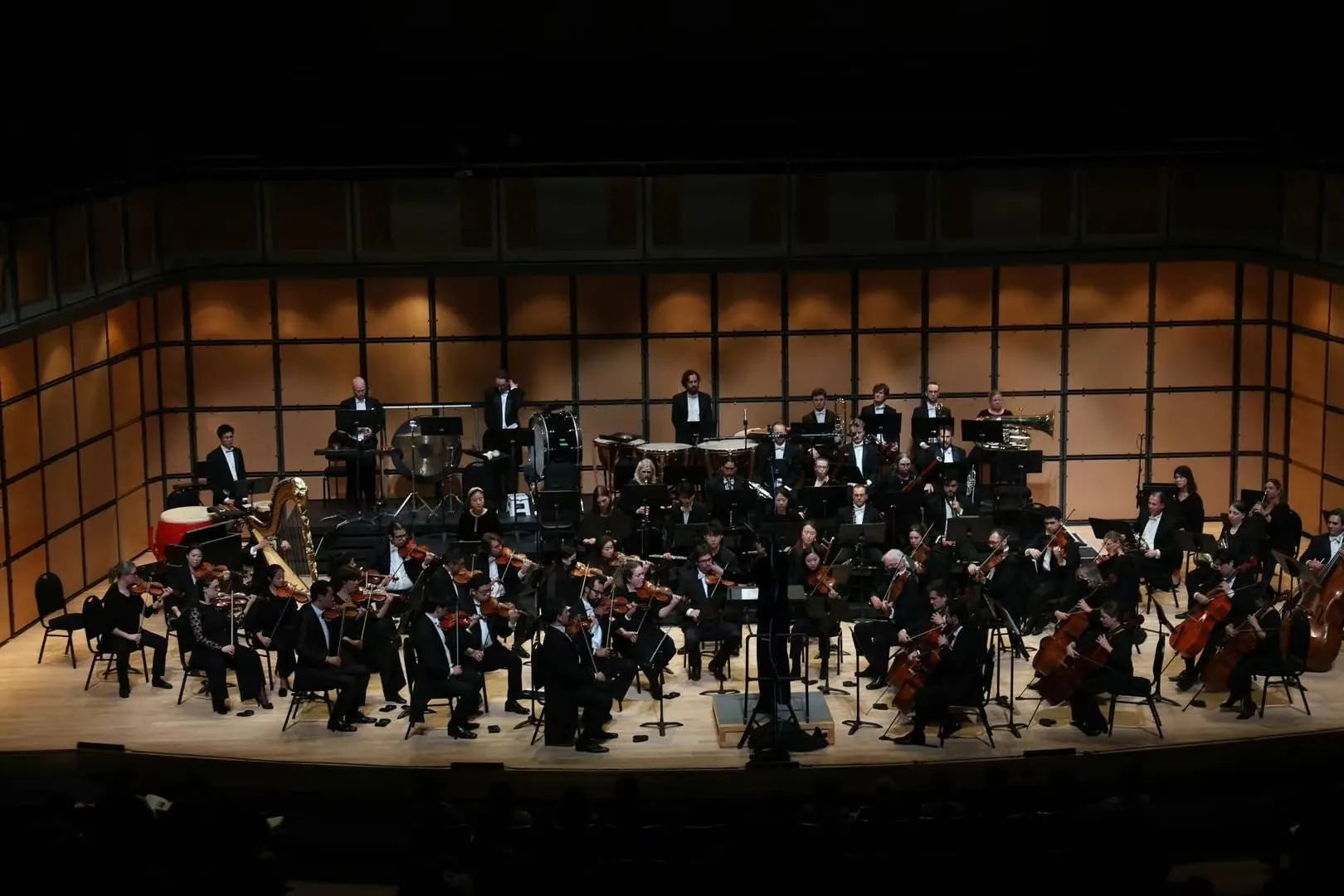 The Toronto Artist Symphony Orchestra on stage