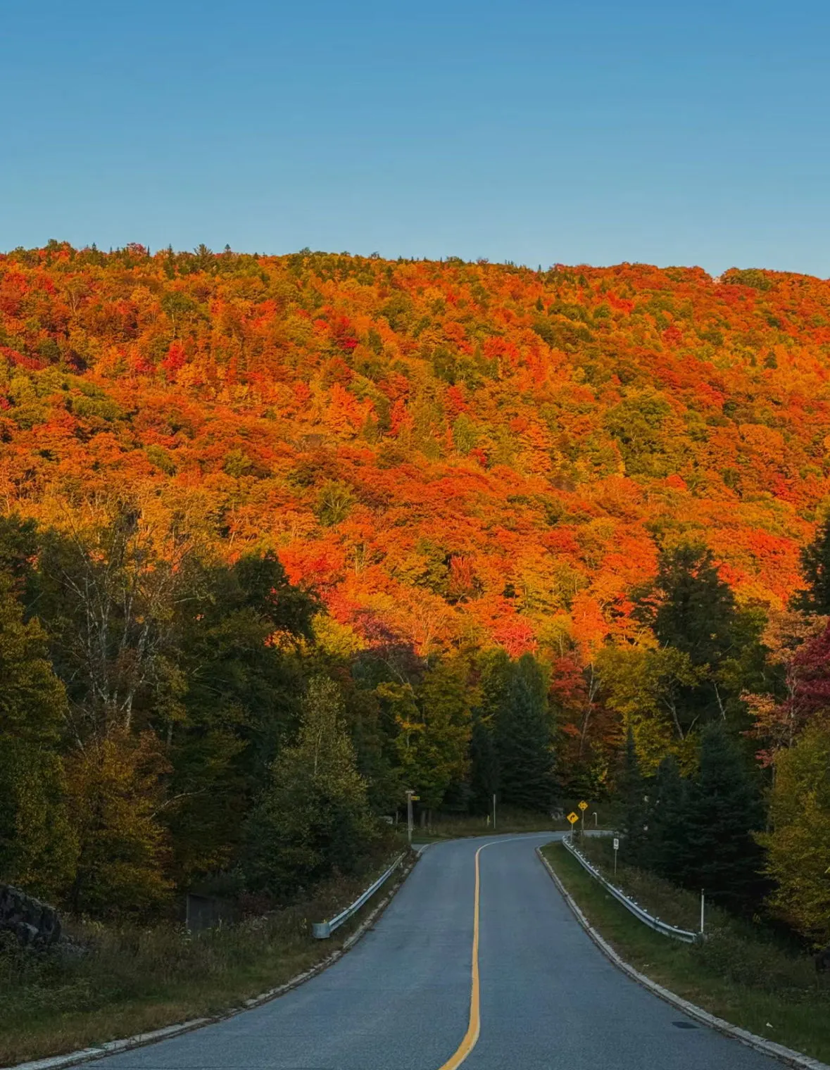 A road through red and orange fall foliage